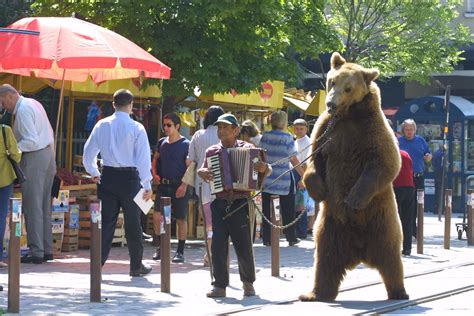 порно dancing bear